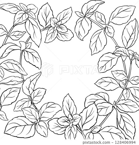 Basil Branch with Leaves Outline Frame. 128406994