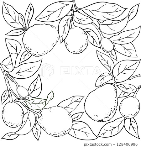 Avocado Branch with Fruits Outline Frame. 128406996