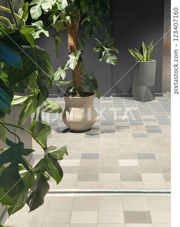 Potted flower on floor near wall in room. Interior design. Modern tiles on floor. Free space, backdrop for design. 128407160