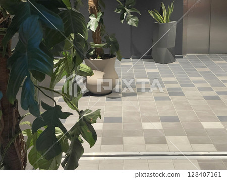 Potted flower on floor near wall in room. Interior design. Modern tiles on floor. Free space, backdrop for design. 128407161