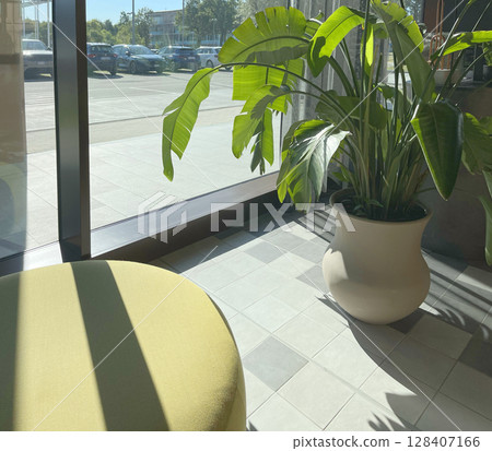 Potted flower on floor near panoramic window in room. Interior design. Potted flower on floor near panoramic window in room. Interior design. 128407166