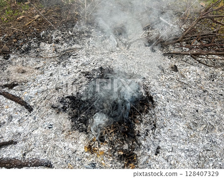 Ashes and smoke in a forest clearing after a campfire. 128407329