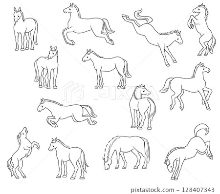 Various horse poses, line drawing illustration set Various horse poses, line drawing illustration set 128407343