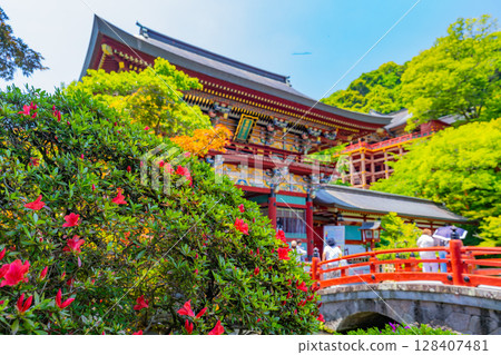 (Saga Prefecture) Yutoku Inari Shrine: The sacred pond and tower gate (Saga Prefecture) Yutoku Inari Shrine: The sacred pond and tower gate 128407481