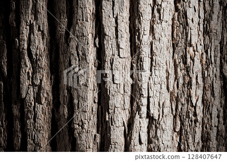Detailed textured tree bark with deep grooves and natural patterns Detailed textured tree bark with deep grooves and natural patterns 128407647