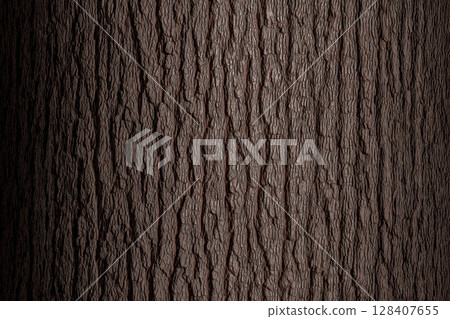 Detailed textured tree bark with deep grooves and natural patterns 128407655