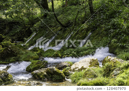 Mossy rocks and the clear waters of the Maruhara River, with beautiful underground water Mossy rocks and the clear waters of the Maruhara River, with beautiful underground water 128407970