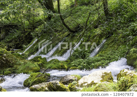 Mossy rocks and the clear waters of the Maruhara River, with beautiful underground water Mossy rocks and the clear waters of the Maruhara River, with beautiful underground water 128407972