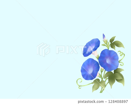 牽牛花背景 A-4 128408897