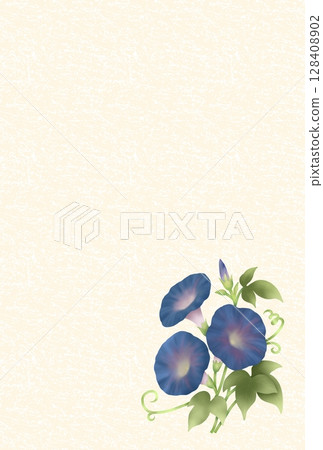 Morning glory background B-2 Morning glory background B-2 128408902