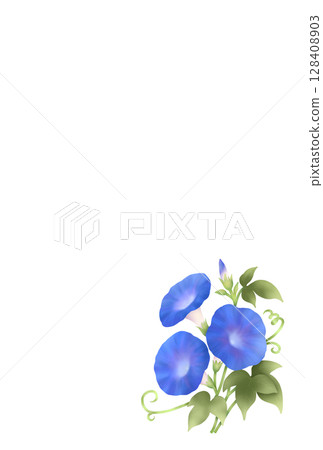 Morning glory background B-3 128408903