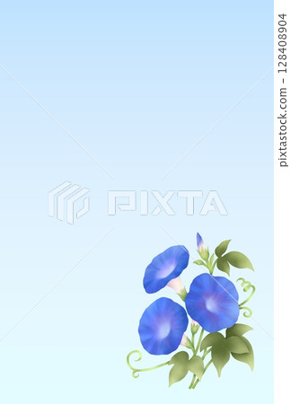 Morning glory background B-4 128408904