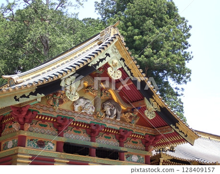 Nikko Toshogu 128409157