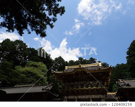 Nikko Toshogu 128409159