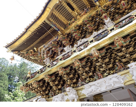 Nikko Toshogu 128409162