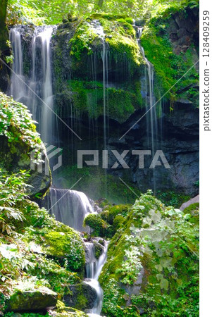 View of Tamadare Falls View of Tamadare Falls 128409259