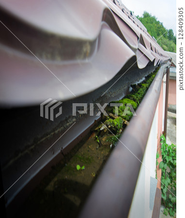 Dirty gutter under the roof clogged with moss and debris Dirty gutter under the roof clogged with moss and debris 128409305