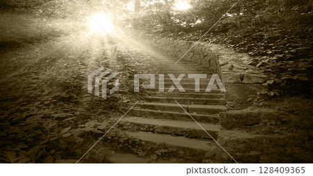 Old stone stairs in the park 128409365