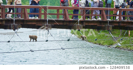 Spring scenery of tourists and Japanese monkeys at Kappa Bridge in Kamikochi 128409538