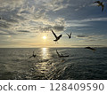 海鷗在海面上飛翔，背後是落日 128409590