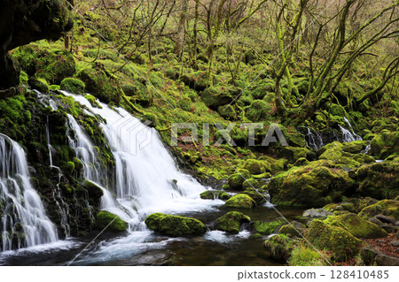 Pure spring water Pure spring water 128410485