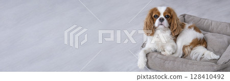Portrait Portrait 128410492