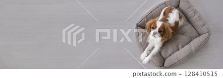 Portrait Portrait 128410515