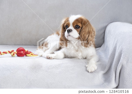 Portrait Portrait 128410516