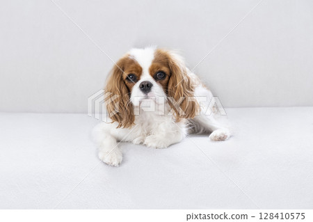 Portrait Portrait 128410575