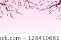 Illustration of cherry blossoms in full bloom 128410681