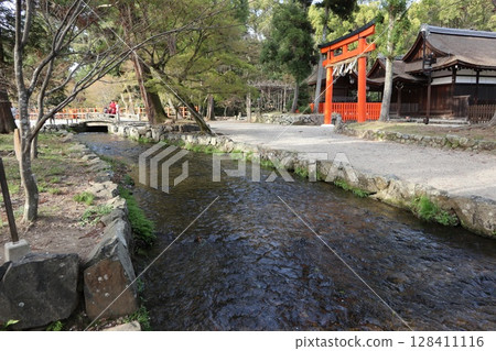 Kamigamo Shrine (Kamo Taisha), a World Heritage Site in Kyoto 128411116