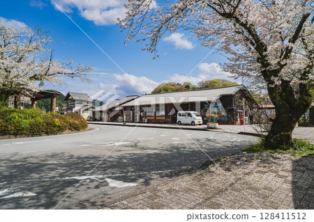 Tenryu-Futamata Station on the Tenryu Hamanako Railway in Hamamatsu City and cherry blossoms (Shizuoka Prefecture) Tenryu-Futamata Station on the Tenryu Hamanako Railway in Hamamatsu City and cherry blossoms (Shizuoka Prefecture) 128411512