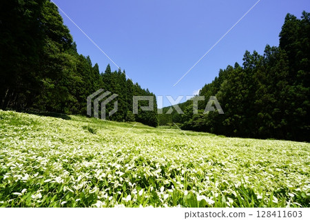 A beautiful landscape of blue skies and fresh green mountains at Hangeshoen in Okada Valley, Mitsue Village, Nara Prefecture 128411603