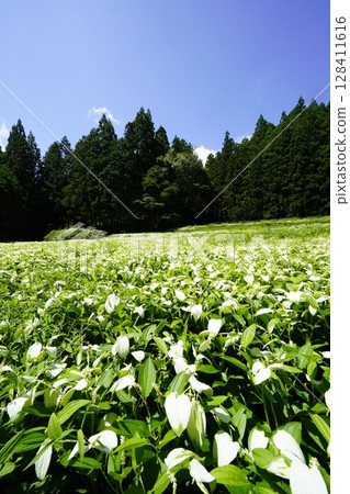 A beautiful landscape of blue skies and fresh green mountains at Hangeshoen in Okada Valley, Mitsue Village, Nara Prefecture 128411616