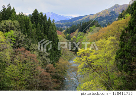 Ani River in Spring Ani River in Spring 128411735