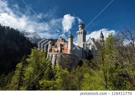 Neuschwanstein Castle in the Bavarian Alps in Germany Neuschwanstein Castle in the Bavarian Alps in Germany 128411770