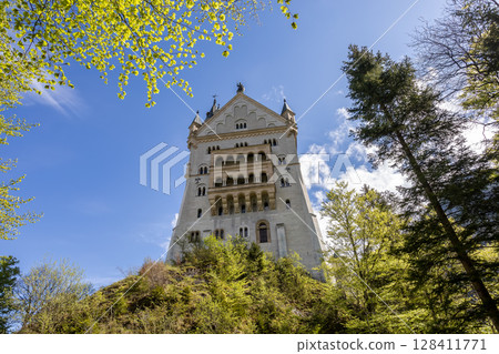 Neuschwanstein Castle in the Bavarian Alps in Germany 128411771
