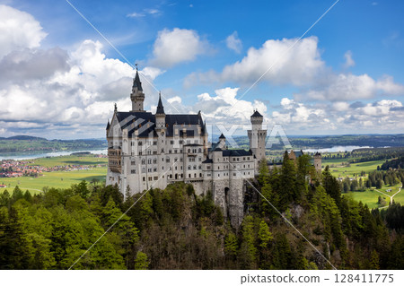 Neuschwanstein Castle in the Bavarian Alps in Germany 128411775
