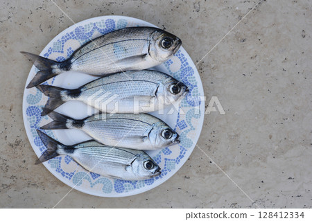 Saddled seabreams 128412334