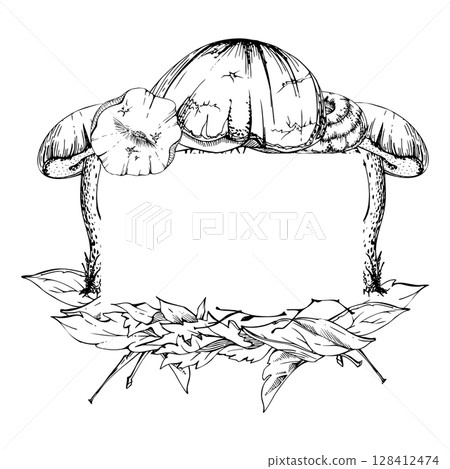 Bolete cep mushroom on top of autumn leaves pile with twigs. Fungi forest harvest, edible raw ingredient for vegan cooking. Copy space frame hand drawn in vector ink. Seasonal planner, menu cookbook Bolete cep mushroom on top of autumn leaves pile with twigs. Fungi forest harvest, edible raw ingredient for vegan cooking. Copy space frame hand drawn in vector ink. Seasonal planner, menu cookbook 128412474