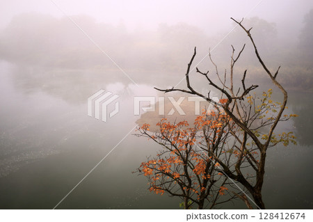 Mogami河在秋天 Mogami河在秋天 128412674