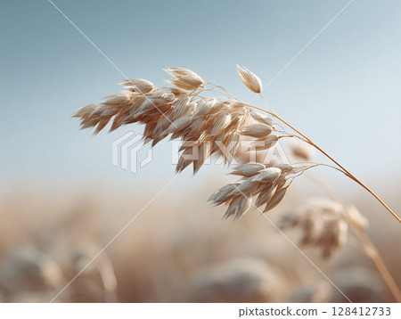 Gentle, sundrenched wheat stalks against a soft blue sky create a serene, natural scene. Evokes feelings of peace, simplicity, and organic beauty. Ideal for nature, food, wellness themes. 128412733
