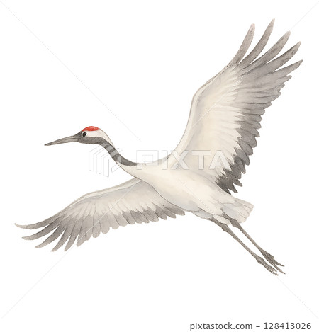 Watercolor illustration of a flying crane 128413026