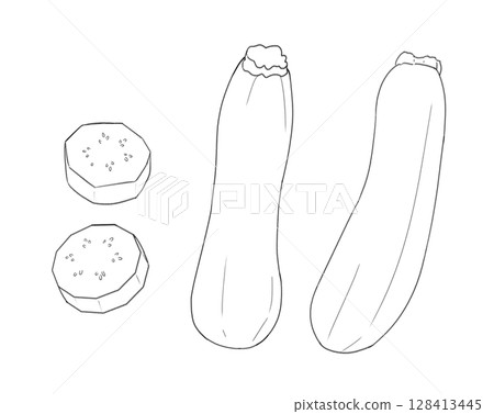 西葫蘆線描 128413445