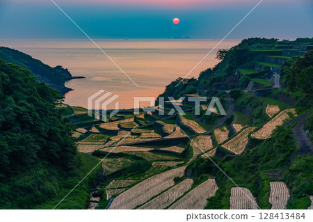 (Saga Prefecture) Hamanoura rice terraces, evening view (Saga Prefecture) Hamanoura rice terraces, evening view 128413484