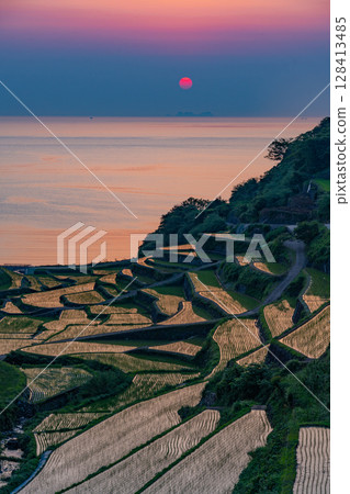 (Saga Prefecture) Hamanoura rice terraces, evening view 128413485