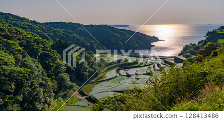 (Saga Prefecture) Hamanoura rice terraces, evening view (Saga Prefecture) Hamanoura rice terraces, evening view 128413486