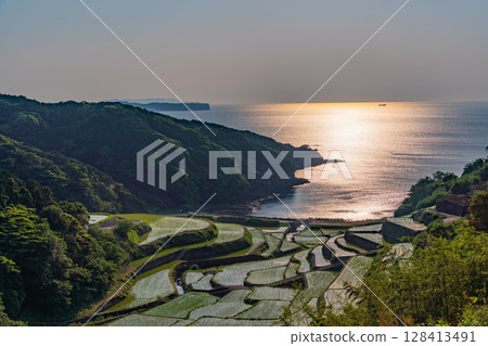 (Saga Prefecture) Hamanoura rice terraces, evening view 128413491