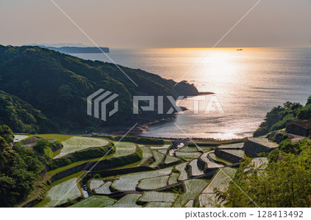 (佐賀縣)浜野浦梯田的夜景 (佐賀縣)浜野浦梯田的夜景 128413492