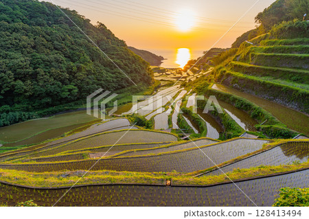 （佐賀縣）浜野浦梯田的夜景 128413494